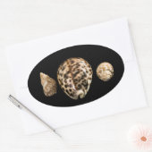 Autocollant Cowrie Cones 2 (Enveloppe)