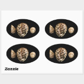 Autocollant Cowrie Cones 2 (Feuille)