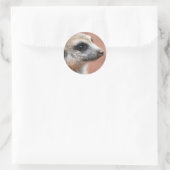Autocollant Curieux Meerkat (Sac)
