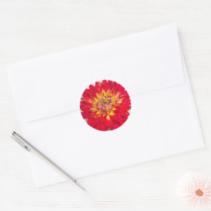 Autocollant Dahlia Rouge Flamboyant Et Jaune