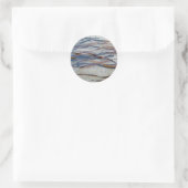 Autocollant d'algues Eel Grass (Sac)