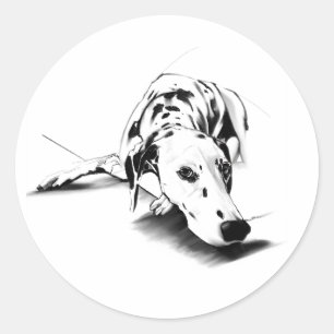 Autocollant Dalmatien - Art Canin