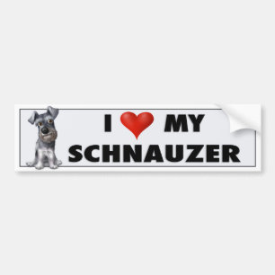 Autocollant d'amour de Schnauzer
