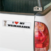Autocollant d'amour de Weimaraner (Sur camion)