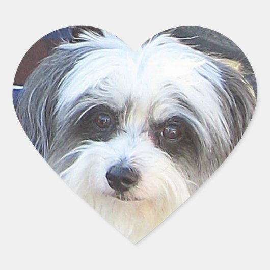 Autocollant d'amour pour chiot (Devant)
