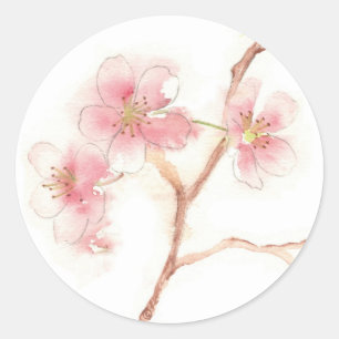 Autocollant d'aquarelle Cherry Blossom