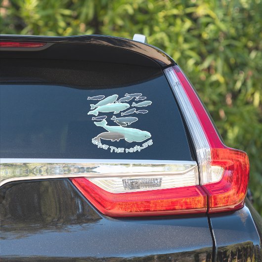 Autocollant d'art de baleine blanche personnalisé (Côté voiture)