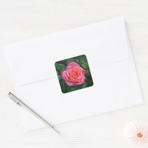 Autocollant d'art de rose rose Pretty