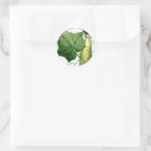 Autocollant d'art en combre 1 (Sac)
