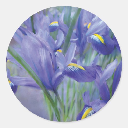 Autocollant d'art Iris Bouquet (Devant)