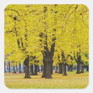 Autocollant d'automne