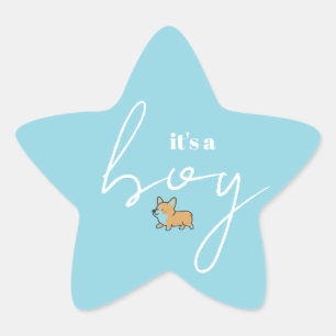 Autocollant de Baby Shower en forme d'étoile bleue
