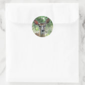Autocollant de biche de cerf de Virginie D33 (Sac)