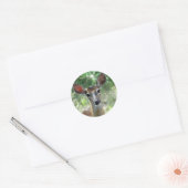 Autocollant de biche de cerf de Virginie D33 (Enveloppe)