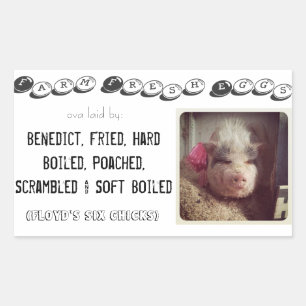 autocollant de boîte d'oeuf