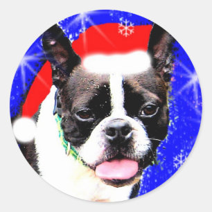 Autocollant de Boston Terrier Père Noël