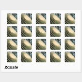 Autocollant de cactus (Feuille)
