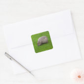 Autocollant de capybara (Enveloppe)