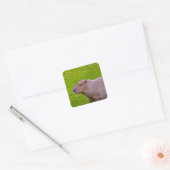 Autocollant de capybara (Enveloppe)