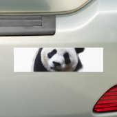 Autocollant de carrosserie avec gros plan de panda (En voiture)