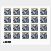 Autocollant de chat (Feuille)