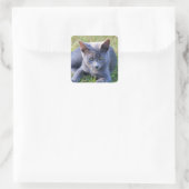 Autocollant de chat (Sac)