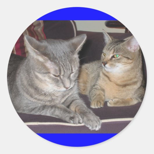 Autocollant de chat (Devant)