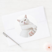 Autocollant de chat blanc drôle – Joli chat grinch (Enveloppe)
