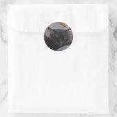 Autocollant de chat endormi (Sac)