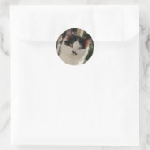 Autocollant de chaton (Sac)