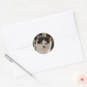 Autocollant de chaton (Enveloppe)