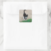 Autocollant de chaton (Sac)