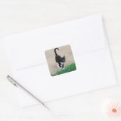 Autocollant de chaton (Enveloppe)