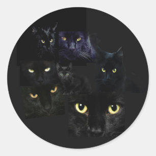 Autocollant de chats de Scaredy