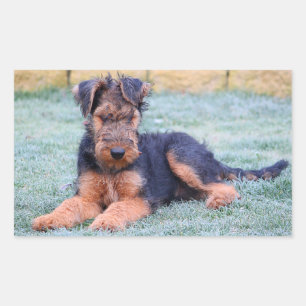 Autocollant de chien chiot Airedale Terrier Love