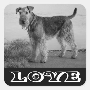 Autocollant de chien chiot Airedale Terrier Love