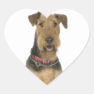 Autocollant de chien chiot Airedale Terrier Love