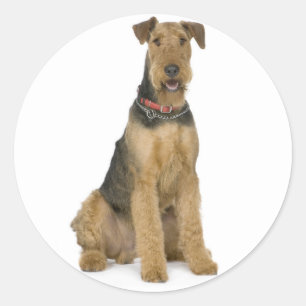 Autocollant de chien chiot Airedale Terrier Love