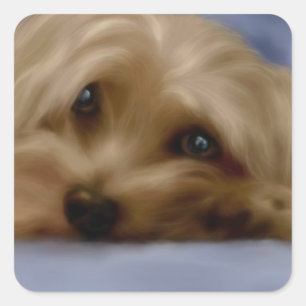 Autocollant de chien de Yorkie