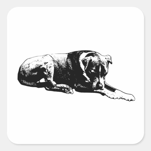 Autocollant de chien en pose claire (Devant)