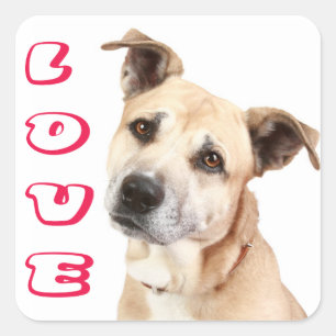 Autocollant de chien Terrier Américain Staffordshi