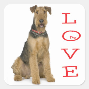 Autocollant de chiot Airedale Terrier Love