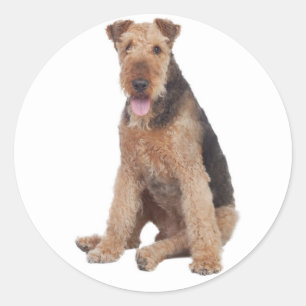 Autocollant de chiot Airedale Terrier Love