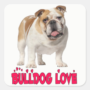Autocollant de chiot bouledogue anglais