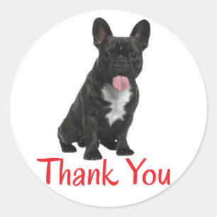 Autocollant de chiot bouledogue français Merci