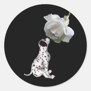 Autocollant de chiot dalmate et rose blanche