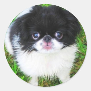 Autocollant de chiot de Yoshi