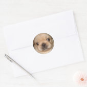 autocollant de chiot pekingese (Enveloppe)
