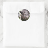 Autocollant de cochon de ventre (Sac)