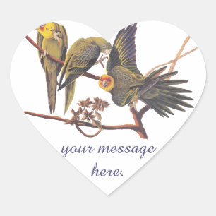 Autocollant de coeur de trio de perruche d'Audubon